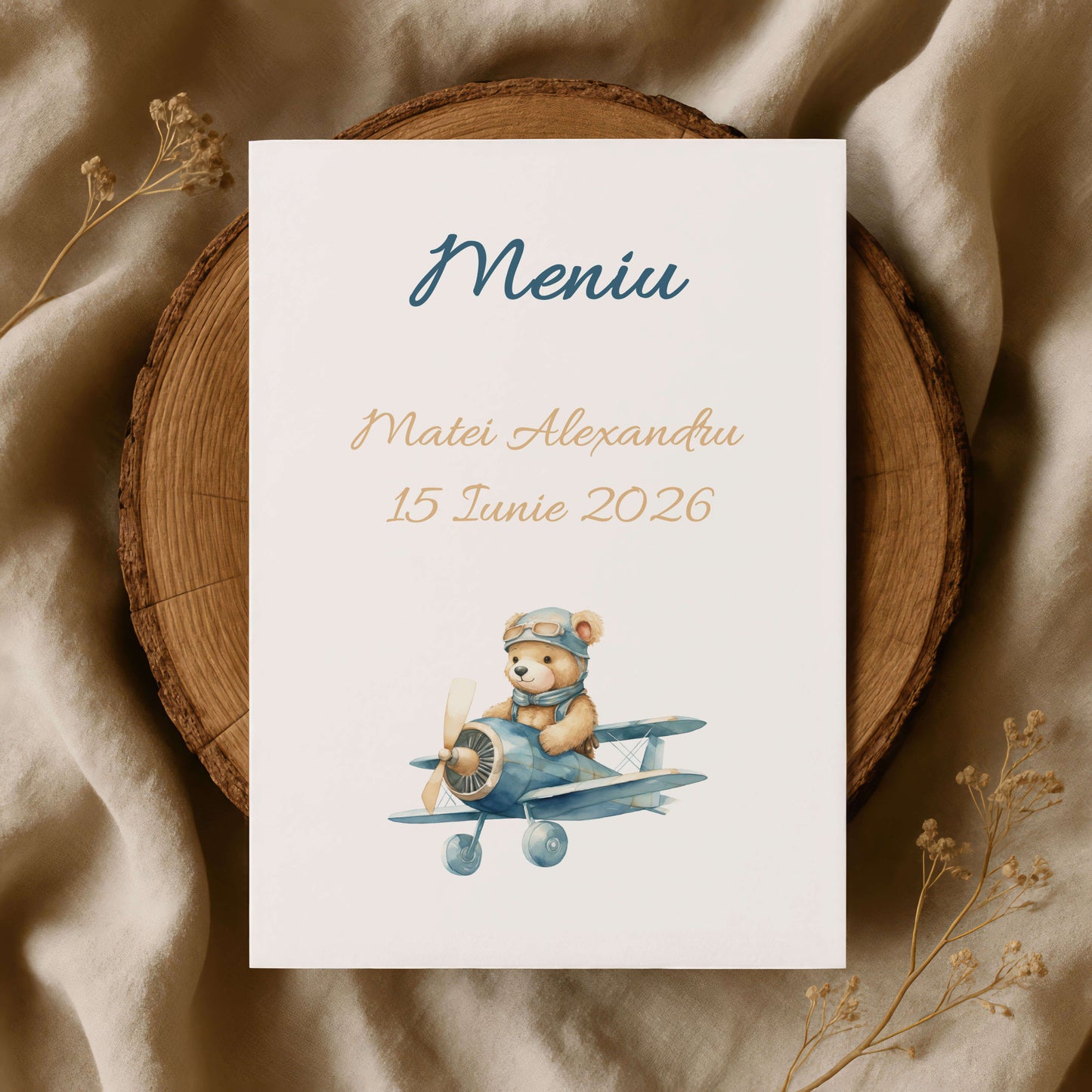 Meniu Botez Baiat Ursulet in Avion